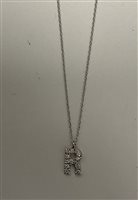 Collana Bolzoni Donna in Oro bianco Diamante 0.06 Ct C0540-R - C0540-R